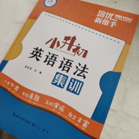 培优新帮手·小升初英语语法集训