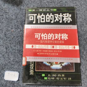 可怕的对称：现代物理学中美的探索