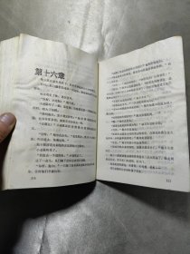 皮皮鲁和鲁西西全传