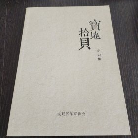 宝地拾贝（小说集）