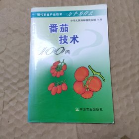 番技术100问