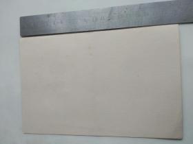 老贺卡 外国儿童