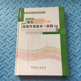 普光高含硫气田高效开发技术与实践