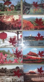 《北京风光，枫叶》（全10枚一套/过塑景点纪念卡/尺寸约16*11厘米）