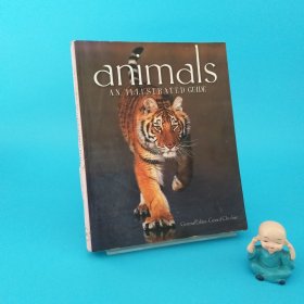 Animals： An Illustrated Guide