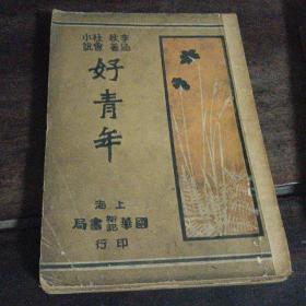 《好青年》1929年六版 李涵秋著（年代久，品如图）上海国华书局（六册全）