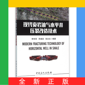現(xiàn)代頁(yè)巖油氣水平井壓裂改造技術(shù)
