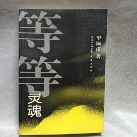 等等灵魂