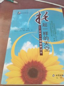 托起一样的天空:农民工心理健康读本