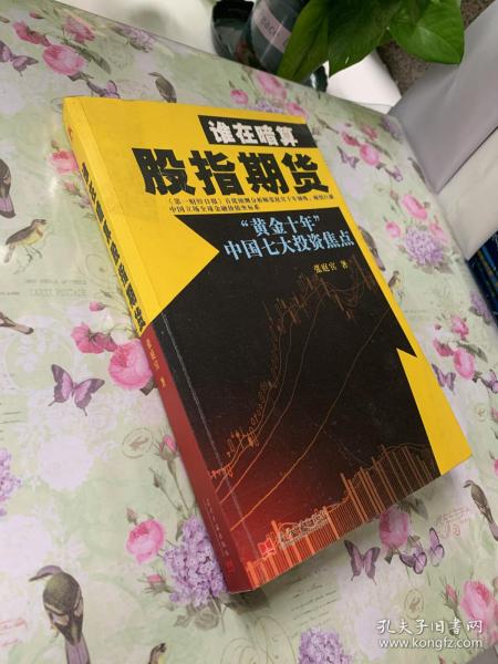 谁在暗算股指期货：“黄金十年”中国七大投资焦点