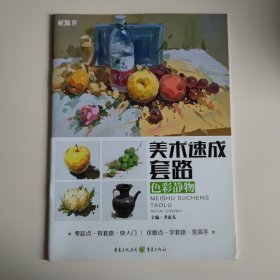 敲门砖美术速成套路 . 色彩静物