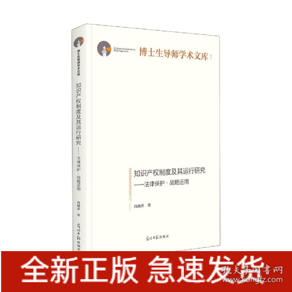 知识产权制度及其运行研究：法律保护·战略运用