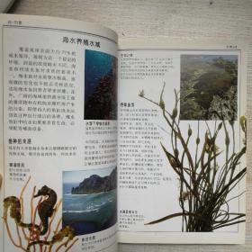 观赏鱼：全世界500多种观赏鱼的彩色图鉴