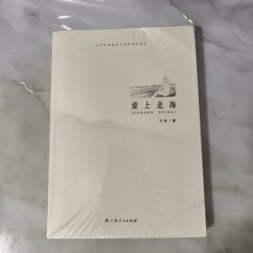 愛上北海（一位女律師眼里心里的美好世界） 正版現(xiàn)貨 書內(nèi)干凈