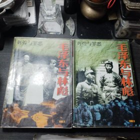 辉煌与罪恶 毛泽东与林彪(上 下册)