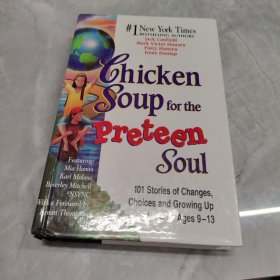 chicken soup for tne