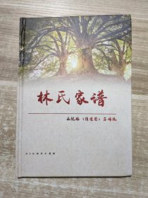 林氏家谱 水枧林顶埕围后崎坑