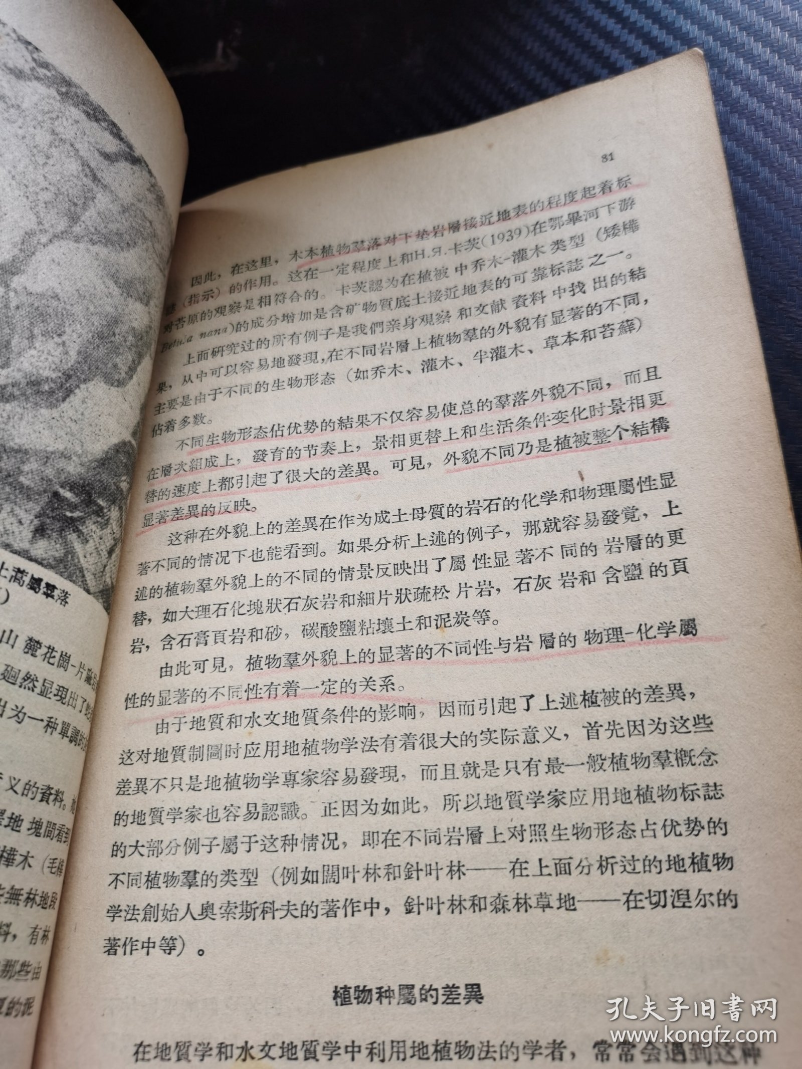 地植物学法在地质和水文地质调查中的应用