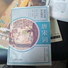 漫画汉英语言精华.唐宋词