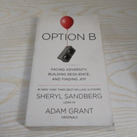 OPTION B