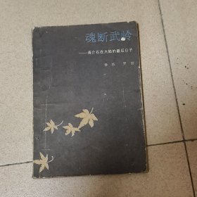 魂断武岭:蒋介石在大陆的最后日子