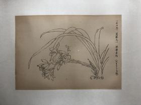 毕晋吉，兰花之三27x38
毕晋吉(1909—1987?12) 笔名晋极，号凤奚、陌村。 山东威海 人。 擅长中国画。 历任四川省立高级工艺职校、省立技艺专科学校、省立艺术专科学校 教师、副教授，四川美术学院教授。 作品有《滇南风光》、《禾雀花》、《白描花卉》 等。