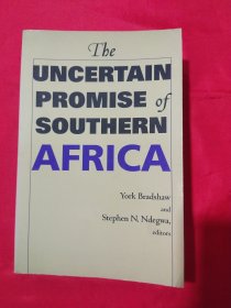 The Uncertain Promise of Southern Africa