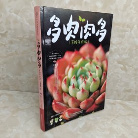 多肉肉多（手绘升级版）：手绘多肉时光！邂逅多肉的美妙世界