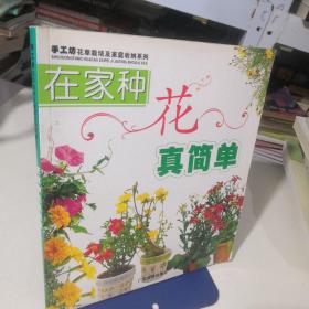 在家种花真简单（手工坊花草栽培及家庭收纳系列）