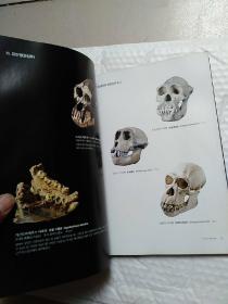 석장리박물관상설전시도록石长里博物馆常设展览图