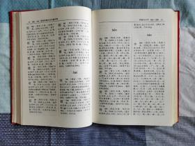 现代汉语大字典