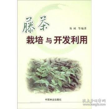 藤茶栽培与开发利用