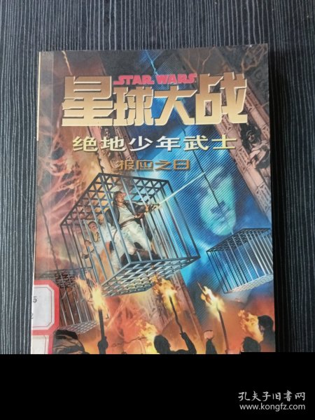 星球大战 绝地少年武士：报应之日