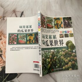 硕果累累的瓜果世界