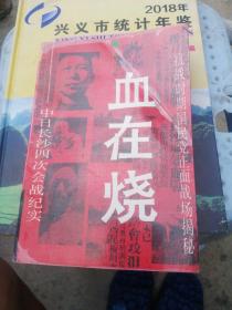 血在烧:中日长沙四次会战纪实