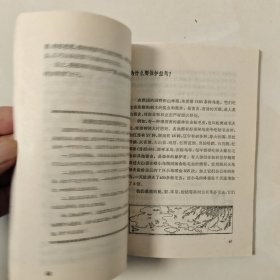 青年科技小顾问
