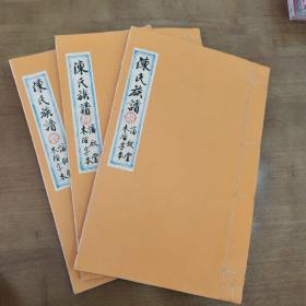 桂东陈氏家譜，陈氏族谱，存3册