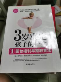 3岁决定孩子的一生1：蒙台梭利早期教育法