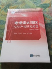 粤港澳大湾区知识产权研究报告（2019-2020）