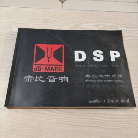 专业音响系统DSP帝比音响