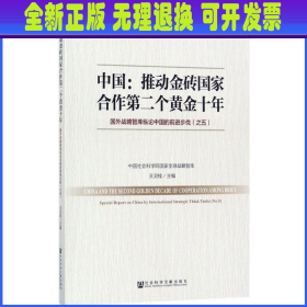 中国：推动金砖国家合作第二个黄金十年 国外战略智库纵论中国的前进步伐（之五）