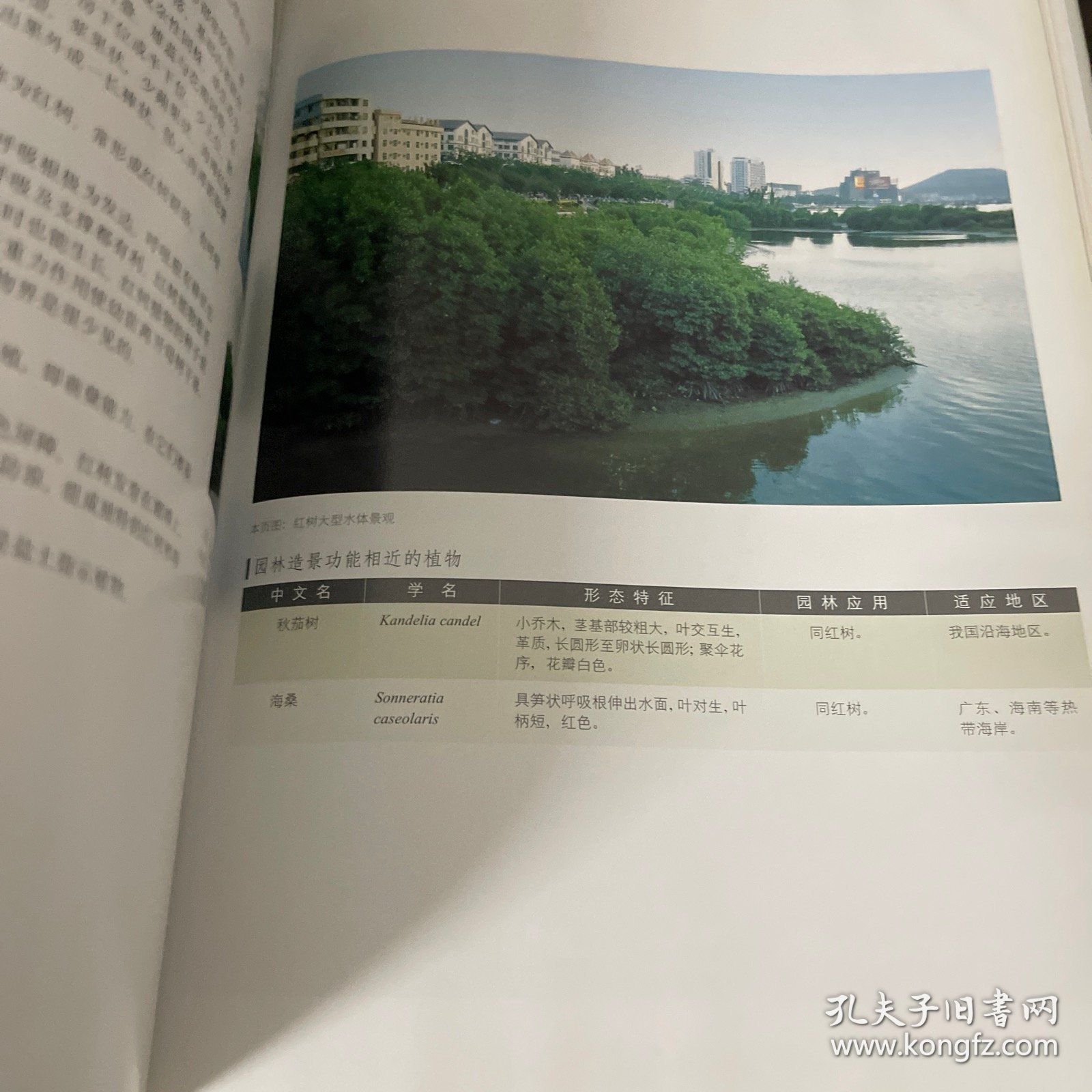 水体植物景观——现代园林植物景观丛书