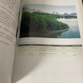 水体植物景观——现代园林植物景观丛书