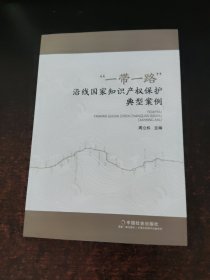 “一带一路”沿线国家知识产权保护典型案例