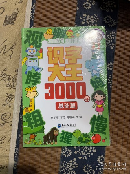 识字大王3000字(全4册)