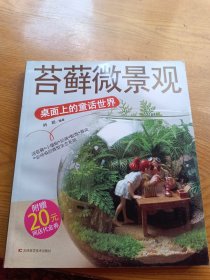 苔藓微景观：桌面上的童话世界