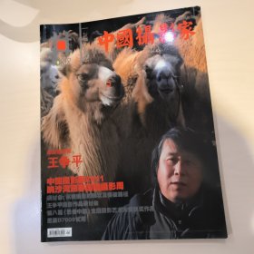 中国摄影家王争平，2011，第八届《影像中国》全国摄影艺术大展获奖作品，