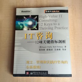 IT咨询：12项关键指标剖析