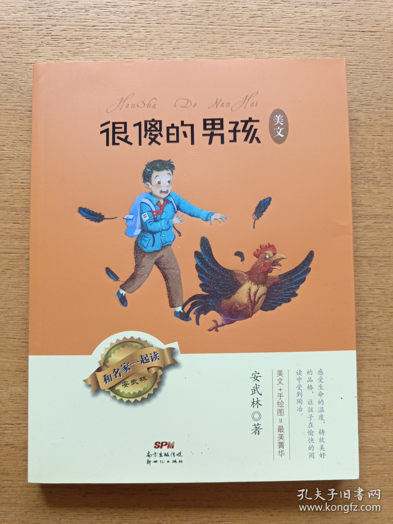 和名家一起读·安武林——很傻的男孩·美文