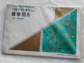 六年制小学语文教学挂图第六册下。配人教版教材。12张全。